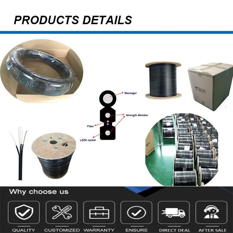 Factory Price 1fo G657A LSZH Indoor Outdoor FTTH Drop Cable